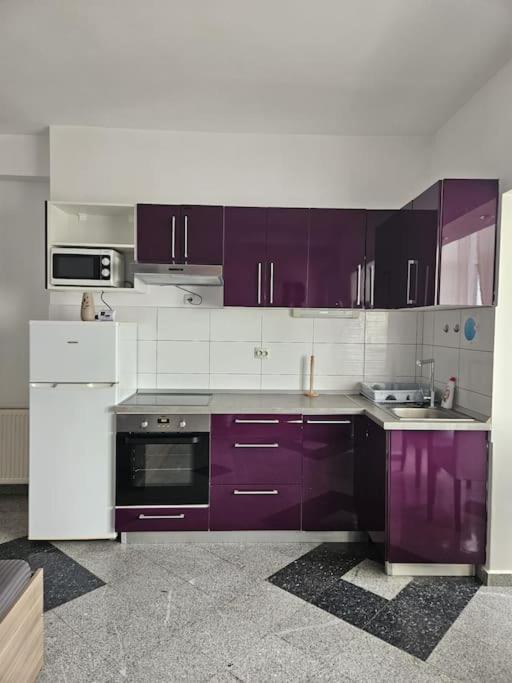 Nice Studio In The Heart Of City บูคาเรสต์ ภายนอก รูปภาพ